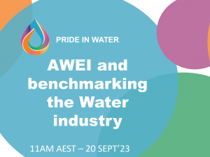 WEBINAR – DEVELOPING A LGBTQ+ INCLUSION BENCHMARK IN OUR WATER INDUSTRY